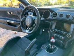 
										2018 Ford Mustang Shelby GT350R full									