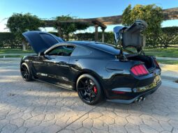 
										2018 Ford Mustang Shelby GT350R full									