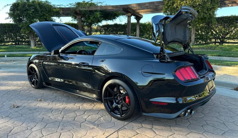 
								2018 Ford Mustang Shelby GT350R full									