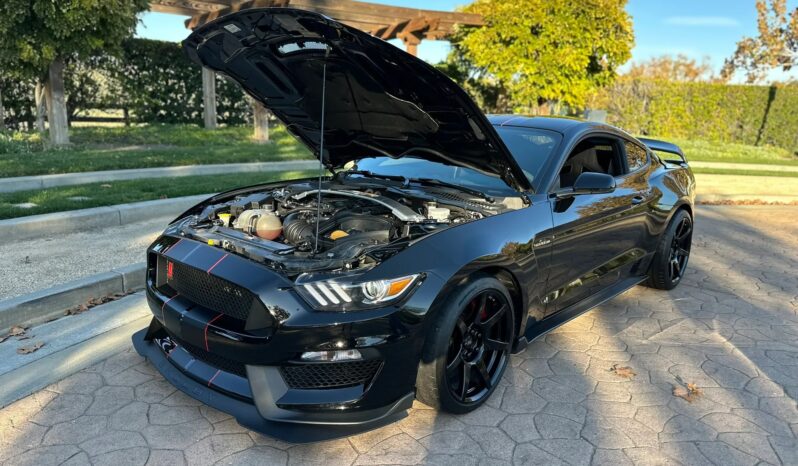 
								2018 Ford Mustang Shelby GT350R full									