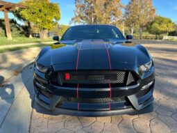 
										2018 Ford Mustang Shelby GT350R full									