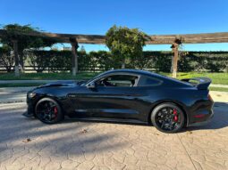 
										2018 Ford Mustang Shelby GT350R full									