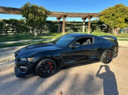 
										2018 Ford Mustang Shelby GT350R full									