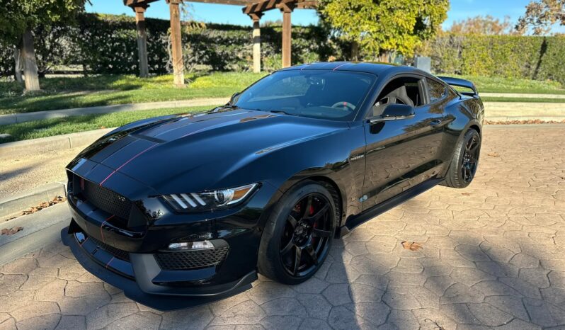 
								2018 Ford Mustang Shelby GT350R full									