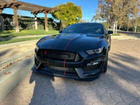 2018 Ford Mustang Shelby GT350R