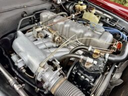 
										1965 Mercedes-Benz 250SE Convertible full									