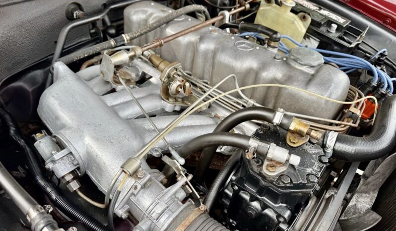 
								1965 Mercedes-Benz 250SE Convertible full									