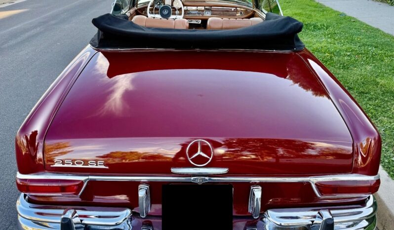 
								1965 Mercedes-Benz 250SE Convertible full									