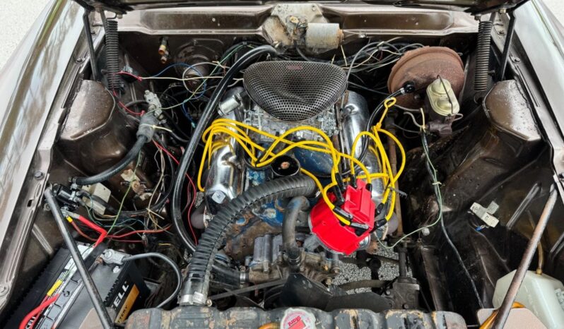 
								1969 AMC AMX Barn Survivor full									