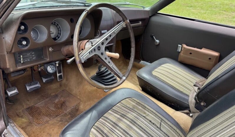 
								1969 AMC AMX Barn Survivor full									