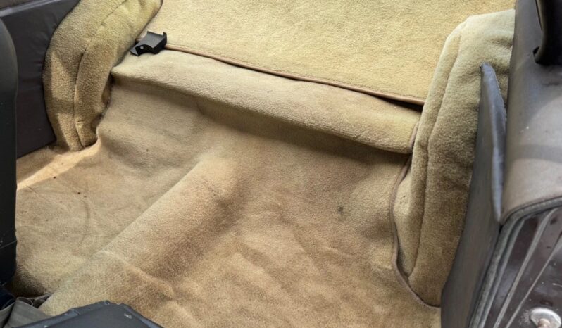 
								1969 AMC AMX Barn Survivor full									