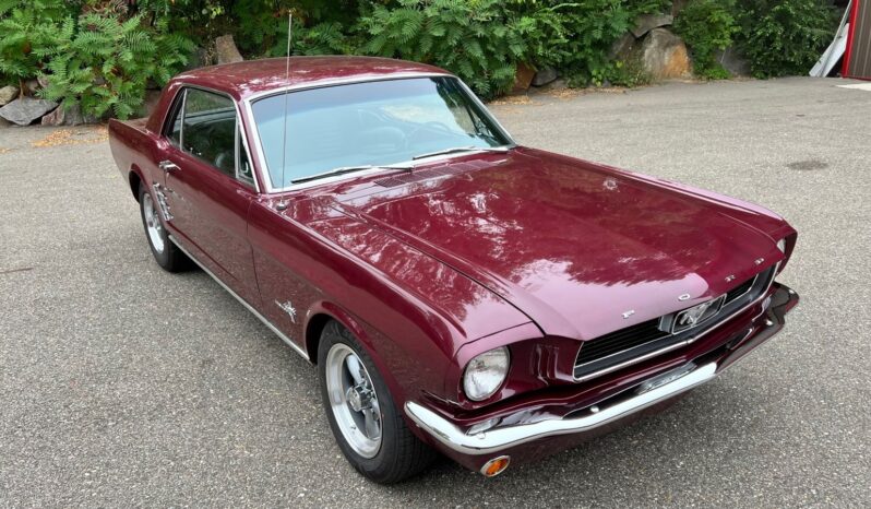 								1966 Ford Mustang 351 ci V8 full									