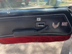 										1981 Pontiac Trans Am Daytona Pace Car full									