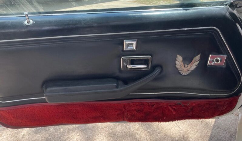 								1981 Pontiac Trans Am Daytona Pace Car full									