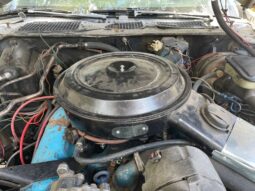 										1981 Pontiac Trans Am Daytona Pace Car full									