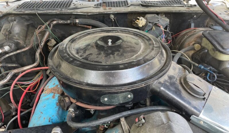 								1981 Pontiac Trans Am Daytona Pace Car full									