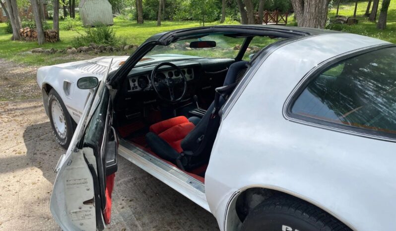 								1981 Pontiac Trans Am Daytona Pace Car full									