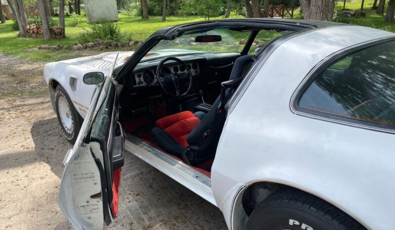 								1981 Pontiac Trans Am Daytona Pace Car full									