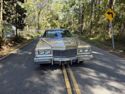 
										1976 Cadillac Fleetwood Brougham full									