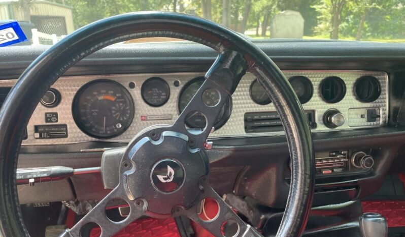 								1981 Pontiac Trans Am Daytona Pace Car full									