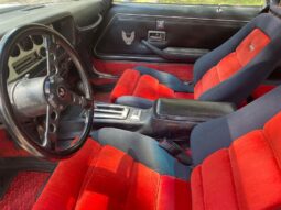 										1981 Pontiac Trans Am Daytona Pace Car full									