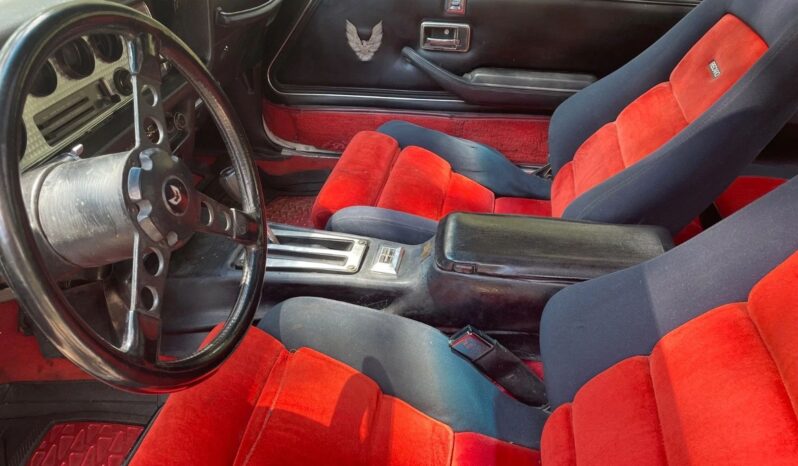 								1981 Pontiac Trans Am Daytona Pace Car full									