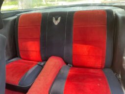 										1981 Pontiac Trans Am Daytona Pace Car full									
