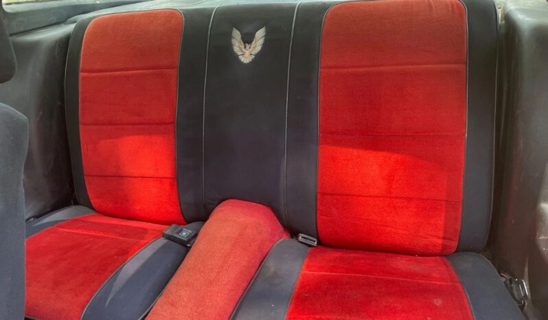 								1981 Pontiac Trans Am Daytona Pace Car full									