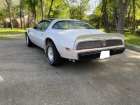 1981 Pontiac Trans Am Daytona Pace Car