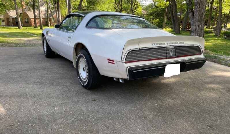 								1981 Pontiac Trans Am Daytona Pace Car full									