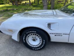 1981 Pontiac Trans Am Daytona Pace Car
