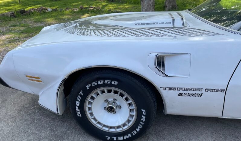 								1981 Pontiac Trans Am Daytona Pace Car full									