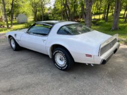 1981 Pontiac Trans Am Daytona Pace Car