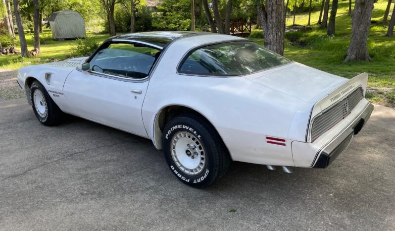 								1981 Pontiac Trans Am Daytona Pace Car full									