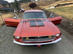 										1968 Ford Mustang Coupe 351C full									