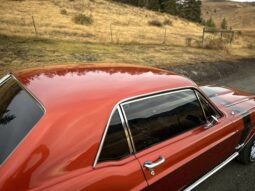 										1968 Ford Mustang Coupe 351C full									