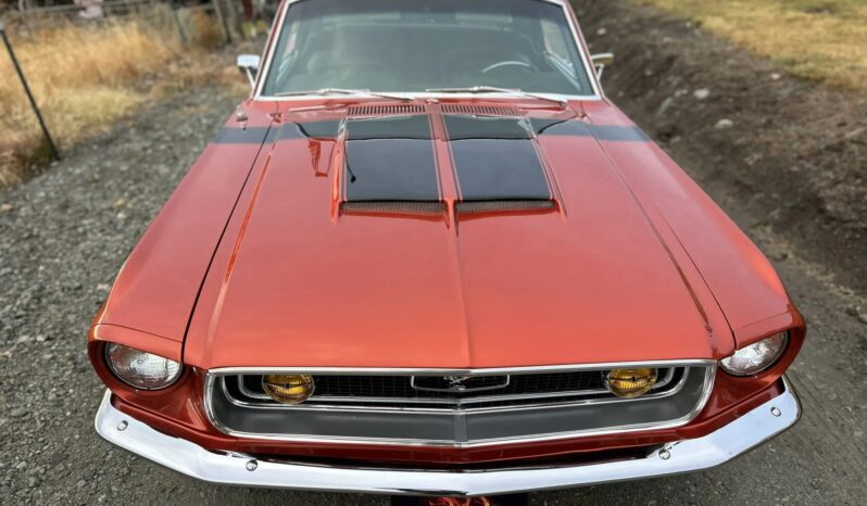 								1968 Ford Mustang Coupe 351C full									