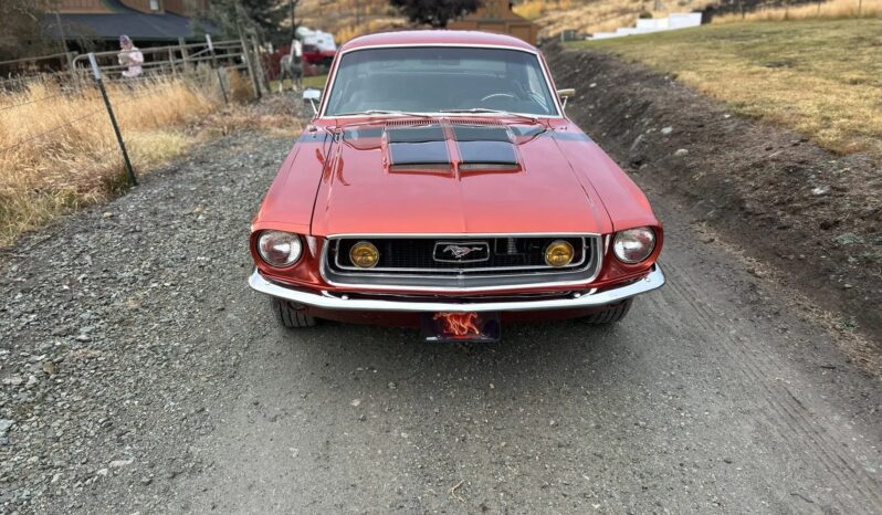								1968 Ford Mustang Coupe 351C full									