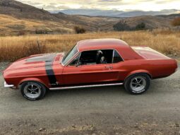 1968 Ford Mustang Coupe 351C