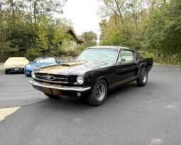 										1965 Ford Mustang Mustang Fastback Hertz Gt350 full									