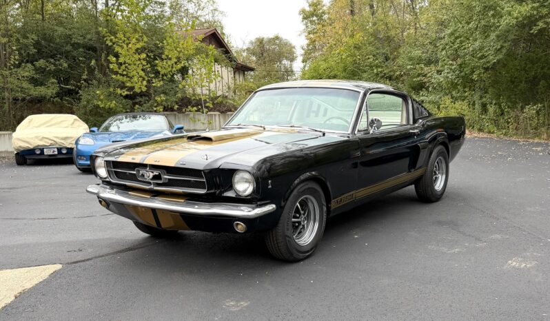 								1965 Ford Mustang Mustang Fastback Hertz Gt350 full									