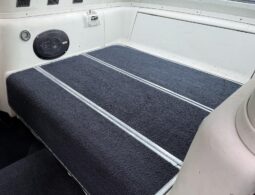 										1965 Ford Mustang Mustang Fastback Hertz Gt350 full									