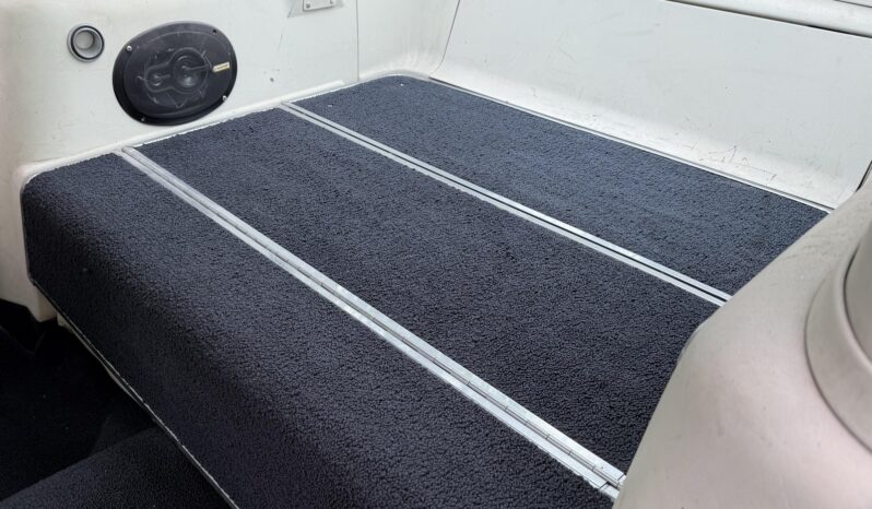 								1965 Ford Mustang Mustang Fastback Hertz Gt350 full									