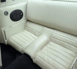 										1965 Ford Mustang Mustang Fastback Hertz Gt350 full									