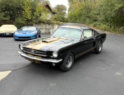 										1965 Ford Mustang Mustang Fastback Hertz Gt350 full									