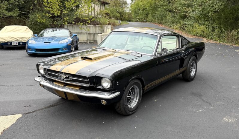 								1965 Ford Mustang Mustang Fastback Hertz Gt350 full									