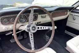 										1965 Ford Mustang Mustang Fastback Hertz Gt350 full									