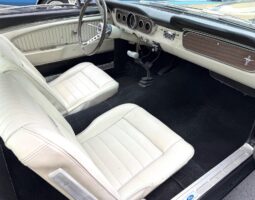 										1965 Ford Mustang Mustang Fastback Hertz Gt350 full									