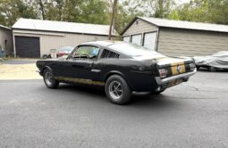 										1965 Ford Mustang Mustang Fastback Hertz Gt350 full									