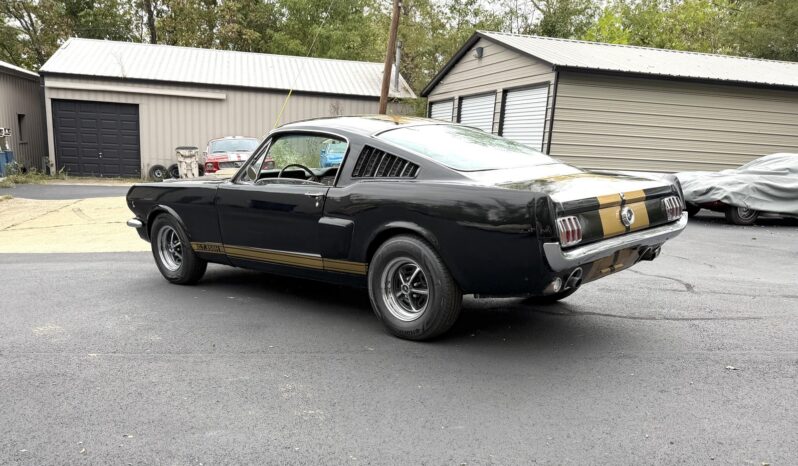 								1965 Ford Mustang Mustang Fastback Hertz Gt350 full									